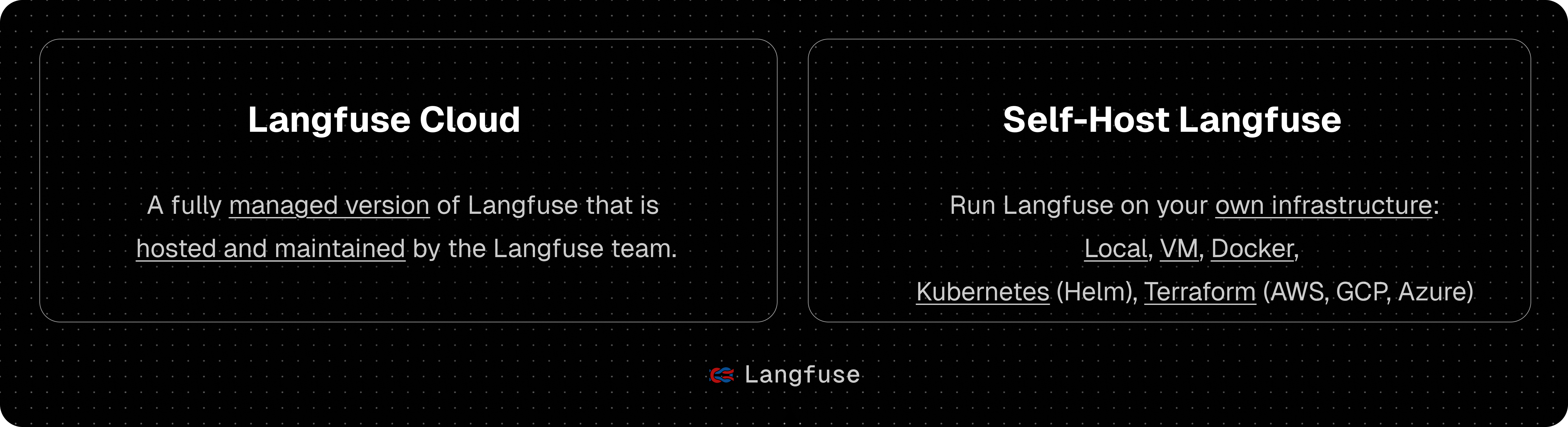 Langfuse 部署选项